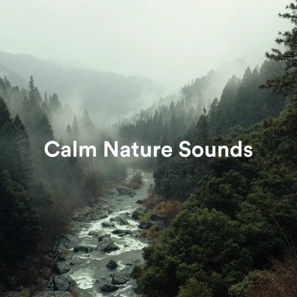 A Creek in the Mountains — Soft Soundscapes