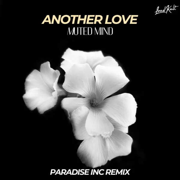 Another Love (Paradise Inc. Remix) — Muted Mind & Paradise Inc!