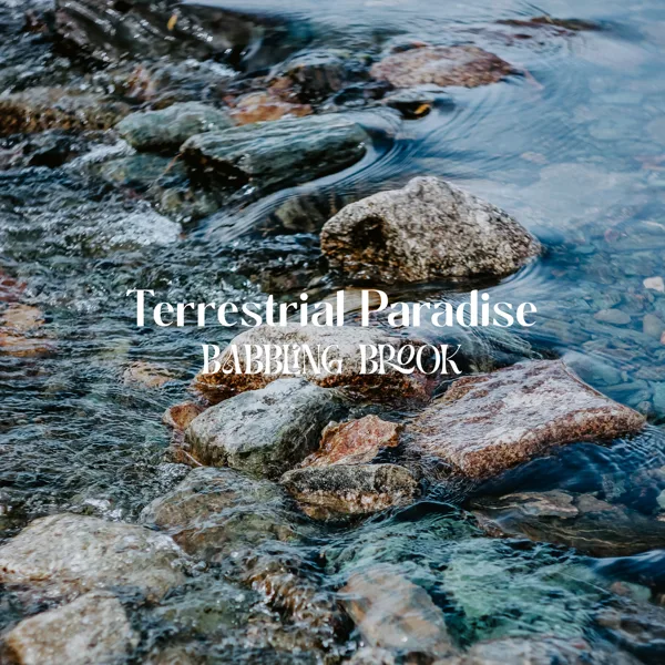 Babbling Brook (Loopable River) — Terrestrial Paradise