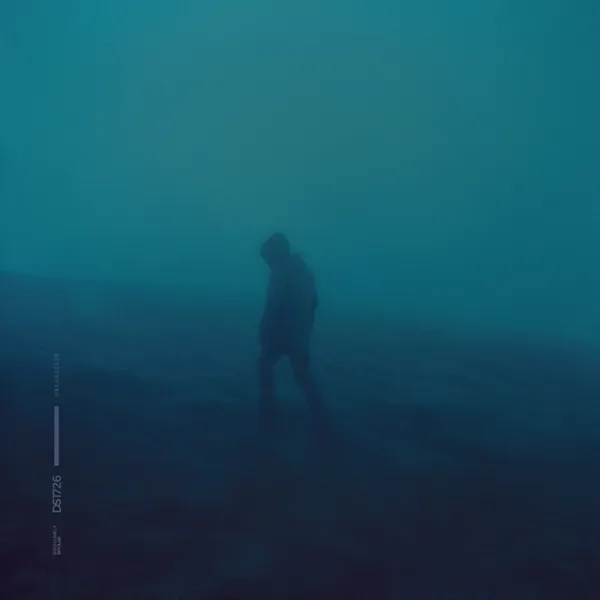 bipolar (Slowed) — .diedlonely