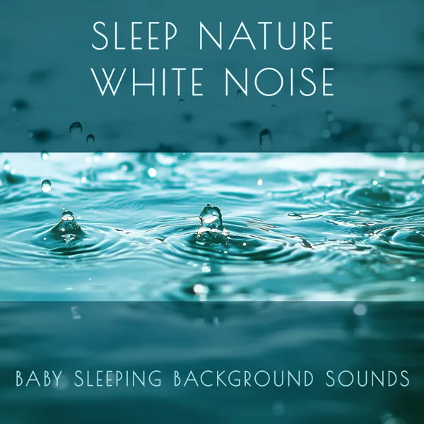 Birdsong in the Forest — Noble Music