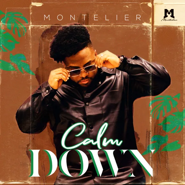 Calm Down (Cover) — Montelier