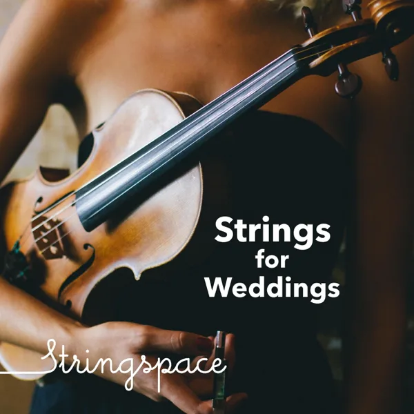 Canon in D Major (String Quartet) — Stringspace