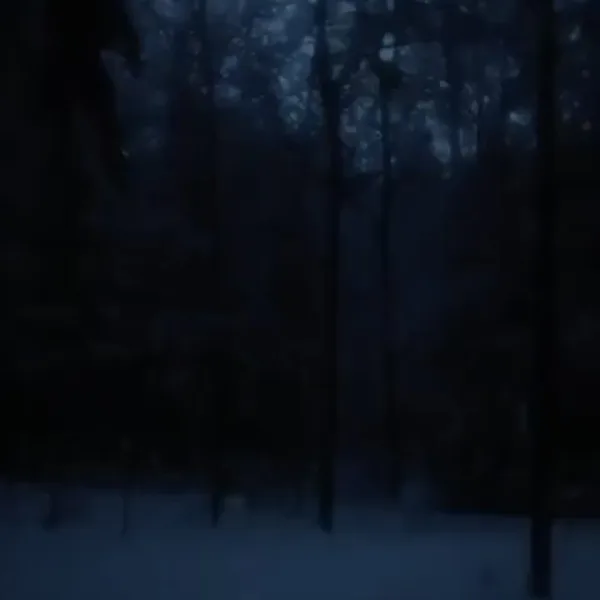 dark snowy night (Speed Up Version) — daniel.mp3