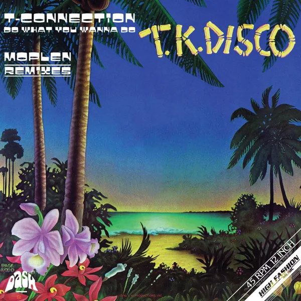 Do What You Wanna Do (Disco Version) — T-Connection