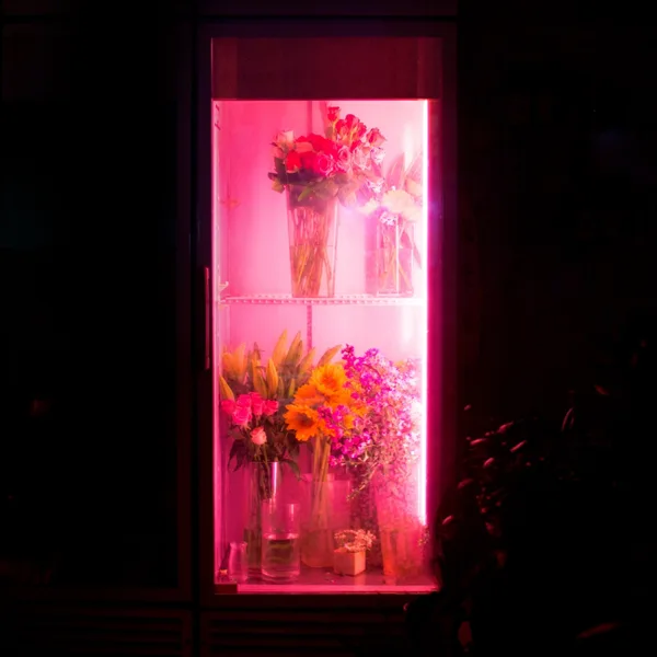 Dreaming of you (feat. Kim Sawol) — Shin Hae Gyeong