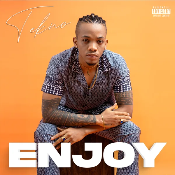 Enjoy — Tekno