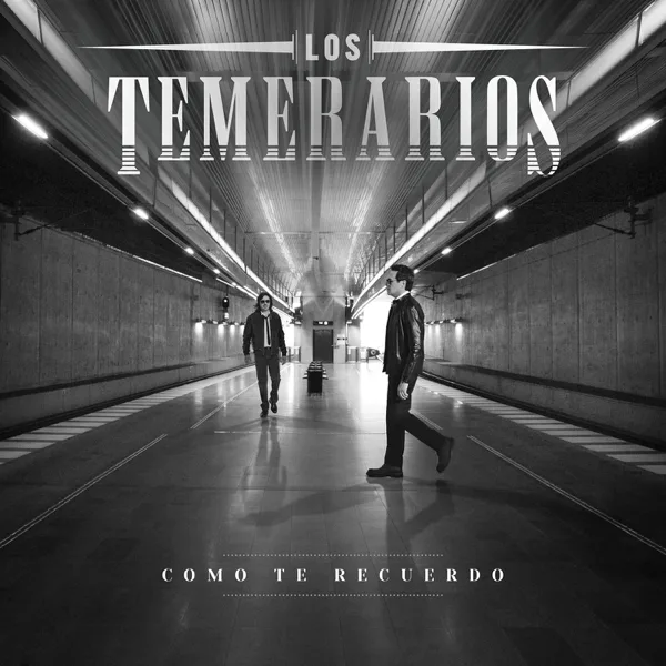Es Ella la Causa — Los Temerarios