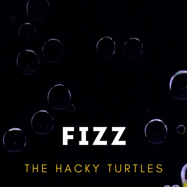 Fizz — The Hacky Turtles