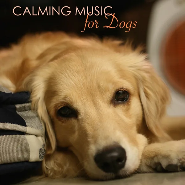 For Dog Ears Only — Pet Music World