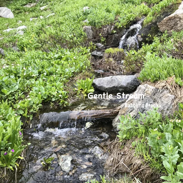 Gentle Stream — Babbling Brook