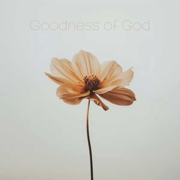 Goodness of God — Anthem Worship, Genavieve Linkowski & Mass Anthem
