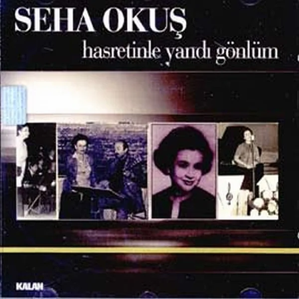 Hasretinle Yandı Gönlüm — Seha Okuş