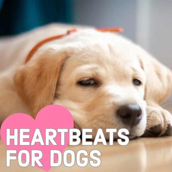 Heartbeats for Dogs (Womb Sounds for Puppies), Pt. 10 — Wombsounds