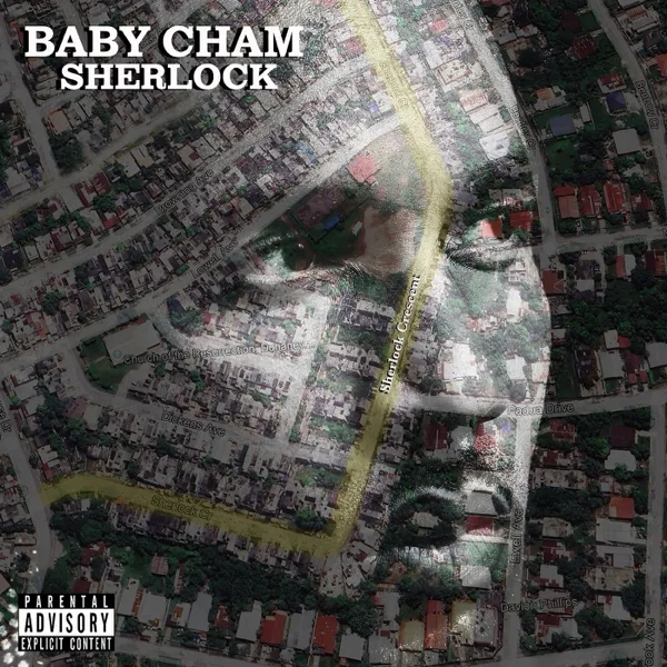Hustling in My Blood — Cham, Stephen Marley & Damian Marley
