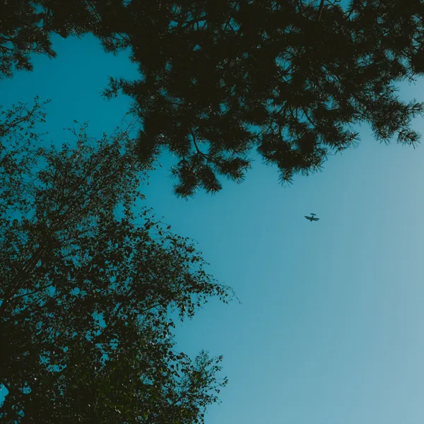 Hymn for the Weekend (feat. Jemma Johnson) — Izzamuzzic