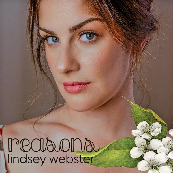I Didn't Mean It (feat. Brian Culbertson) — Lindsey Webster