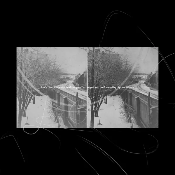Last Snowstorm of the Year — Hippo Campus
