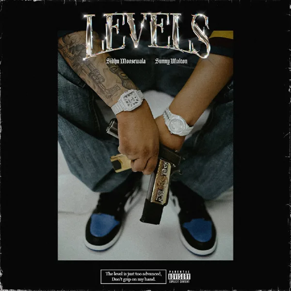 Levels (feat. Sunny Malton) — Sidhu Moose Wala