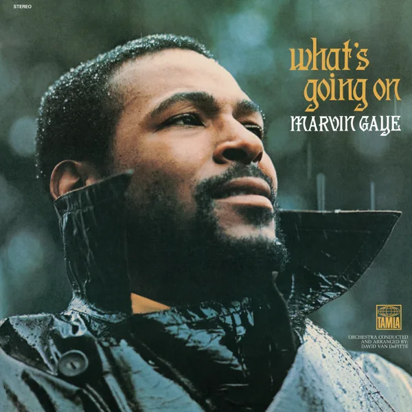 Mercy Mercy Me (The Ecology) — Marvin Gaye