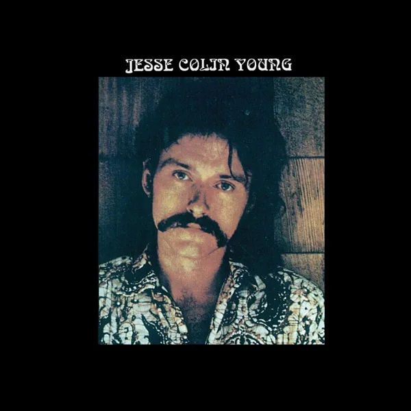 Miss Hesitation — Jesse Colin Young