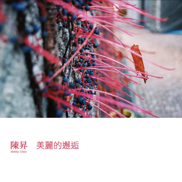 牡丹亭外 — Bobby Chen