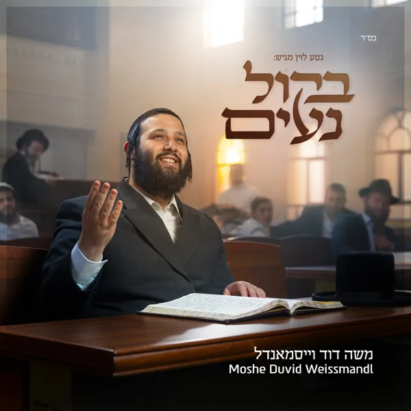 מים רבים — Moshe David Weissmandl