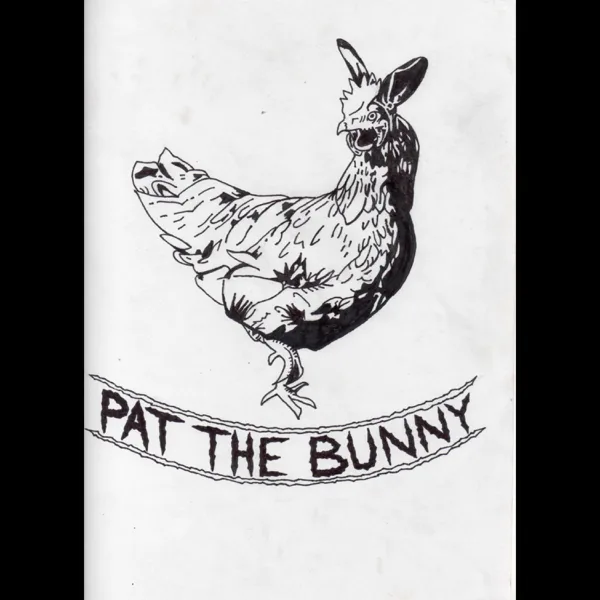 Never Coming Home — Pat The Bunny