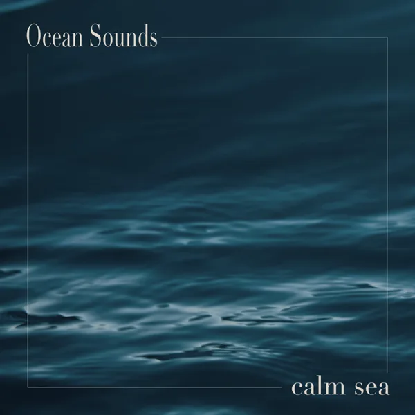 Night Waves — Ocean Sounds