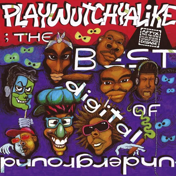 Nuttin' Nis Funky — Digital Underground