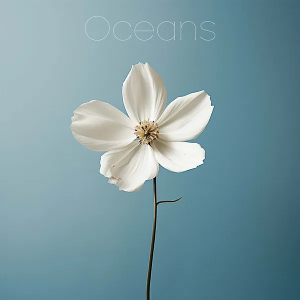Oceans (Where Feet May Fail) — Anthem Worship, Genavieve Linkowski & Mass Anthem