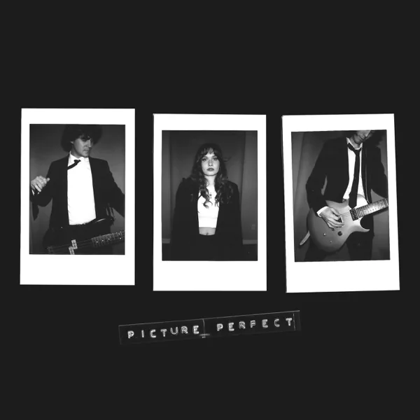 Picture Perfect (Acoustic) — IMY2