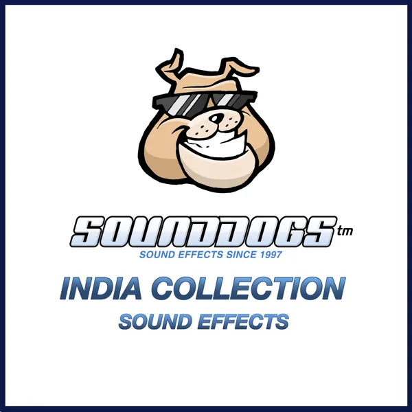Pigeons, Foley, Flutter, Flap Wings Series x5, Fast, Close Up, Interior, Birds — Sounddogs Sound Effects
