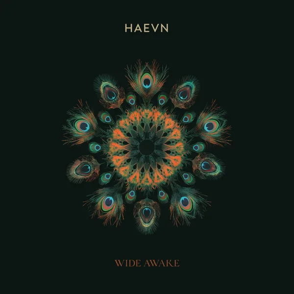Promise — HAEVN