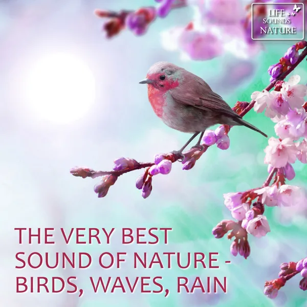 Pure Rain and Two Thunderclaps — Life Sounds Nature