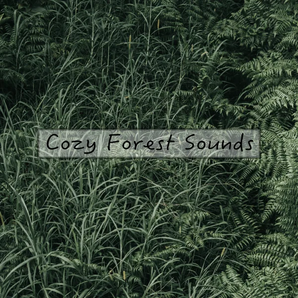 Relaxing — Forest Sounds