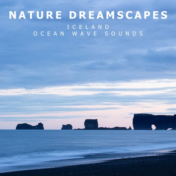 Reynisfjara Beach at Night in Iceland — Nature Dreamscapes