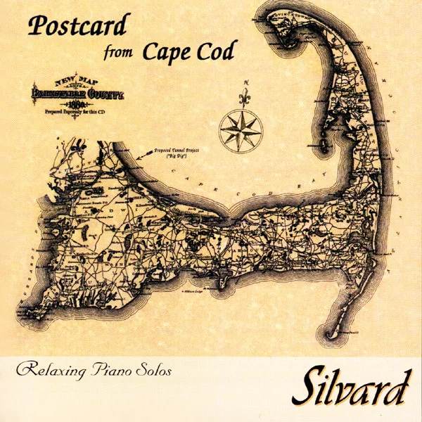 Riding the Waves — Silvard
