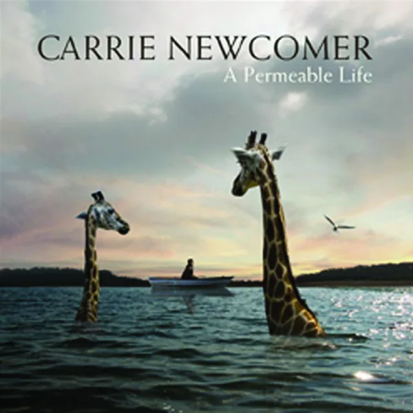 Room at the Table — Carrie Newcomer