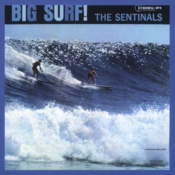 Shout — The Sentinals
