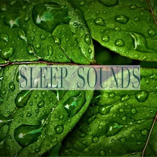 Sleepy — Rain Sounds