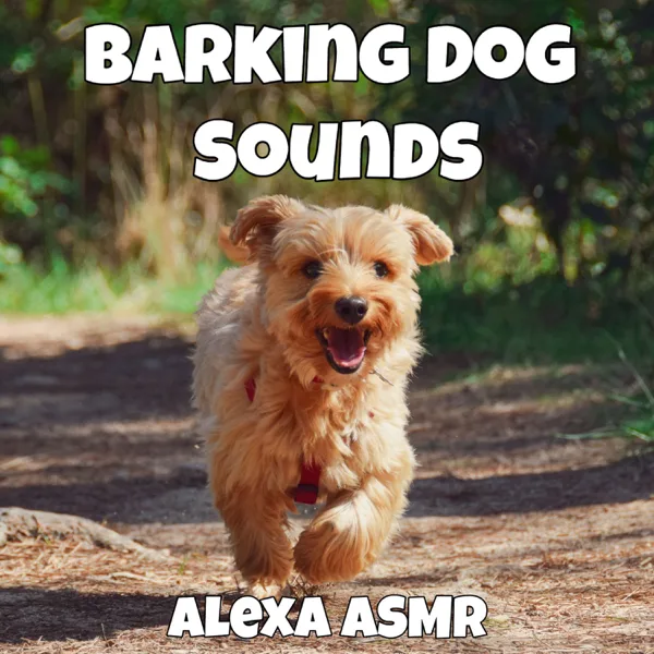 Sounds of Dogs Barking — Alexa ASMR