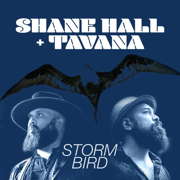 Storm Bird — Shane Hall & Tavana