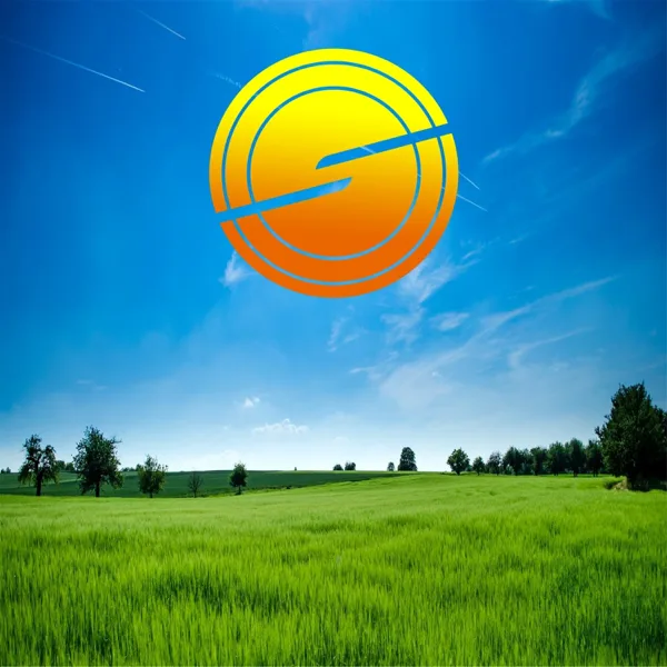 Summer Ending Party — Sunlight Project