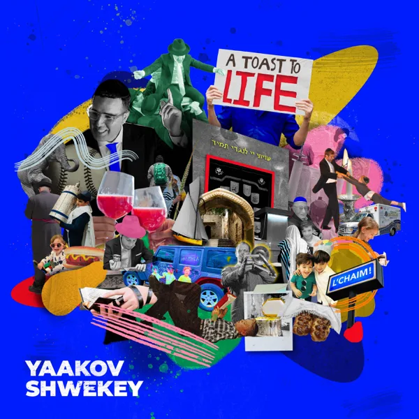 The Wonder of Life — Yaakov Shwekey