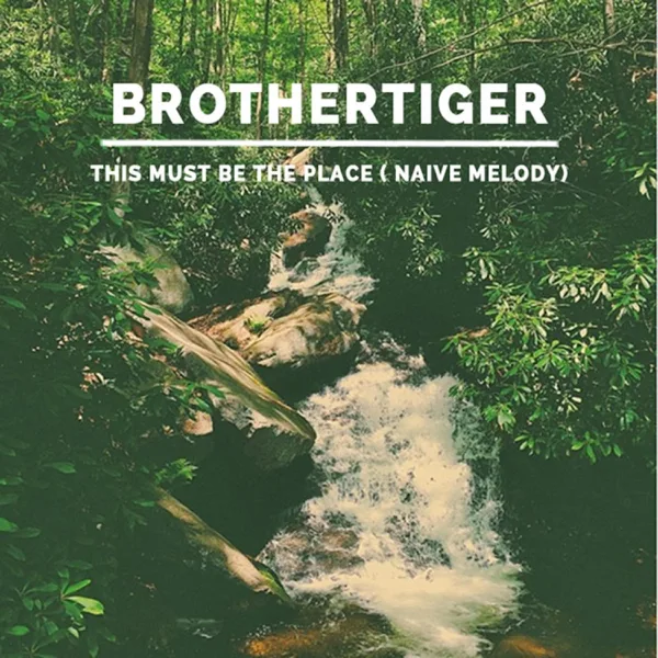 This Must Be the Place (Naive Melody) — Brothertiger