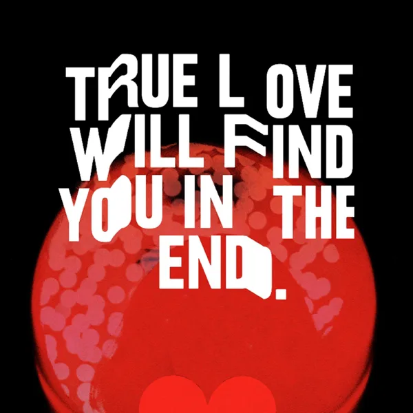 True Love Will Find You in the End — Beck