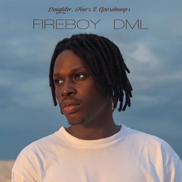 Vibration — Fireboy DML