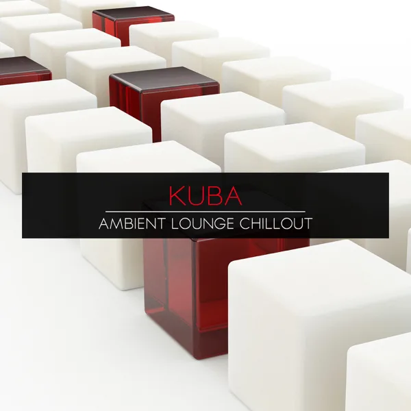 We Can Still Learn — Kuba