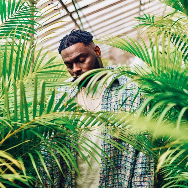 What it Look Like (feat. Mission) — Mike Teezy